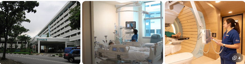 singapre vs uk vs germany